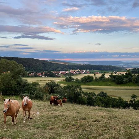 Apartament Haus Landlust Edersee Zewnętrze zdjęcie