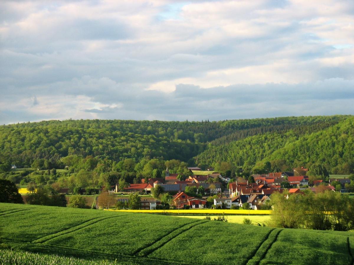 Apartament Haus Landlust Edersee Zewnętrze zdjęcie